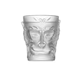 Monkey King Wukong Fsted Glass Mugs Transparent Cocktail Glasses Cups ﻿